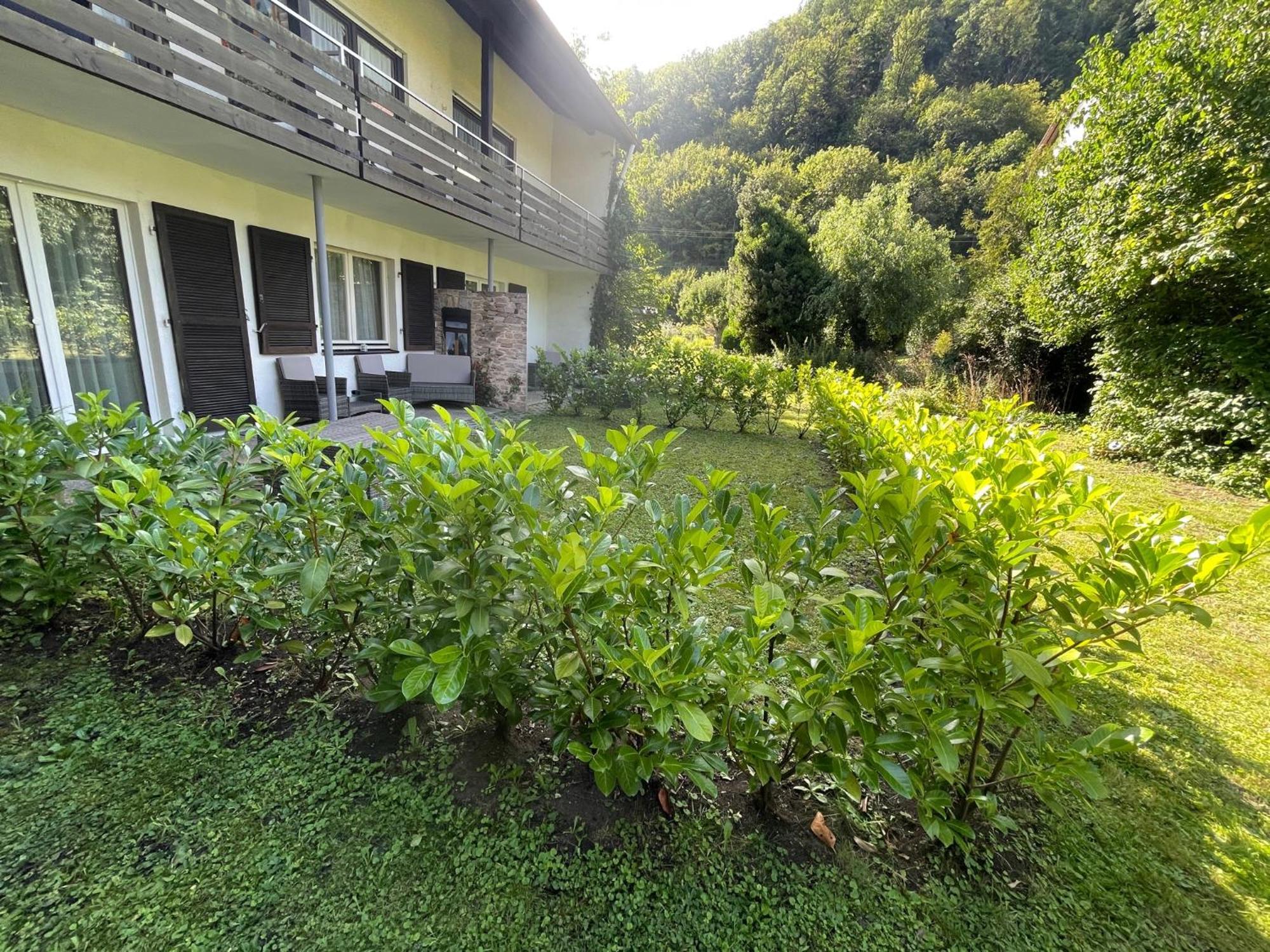 Hotel Restaurant Adler Stube Münstertal Eksteriør bilde